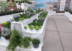 Overview of the Hishtil booth.